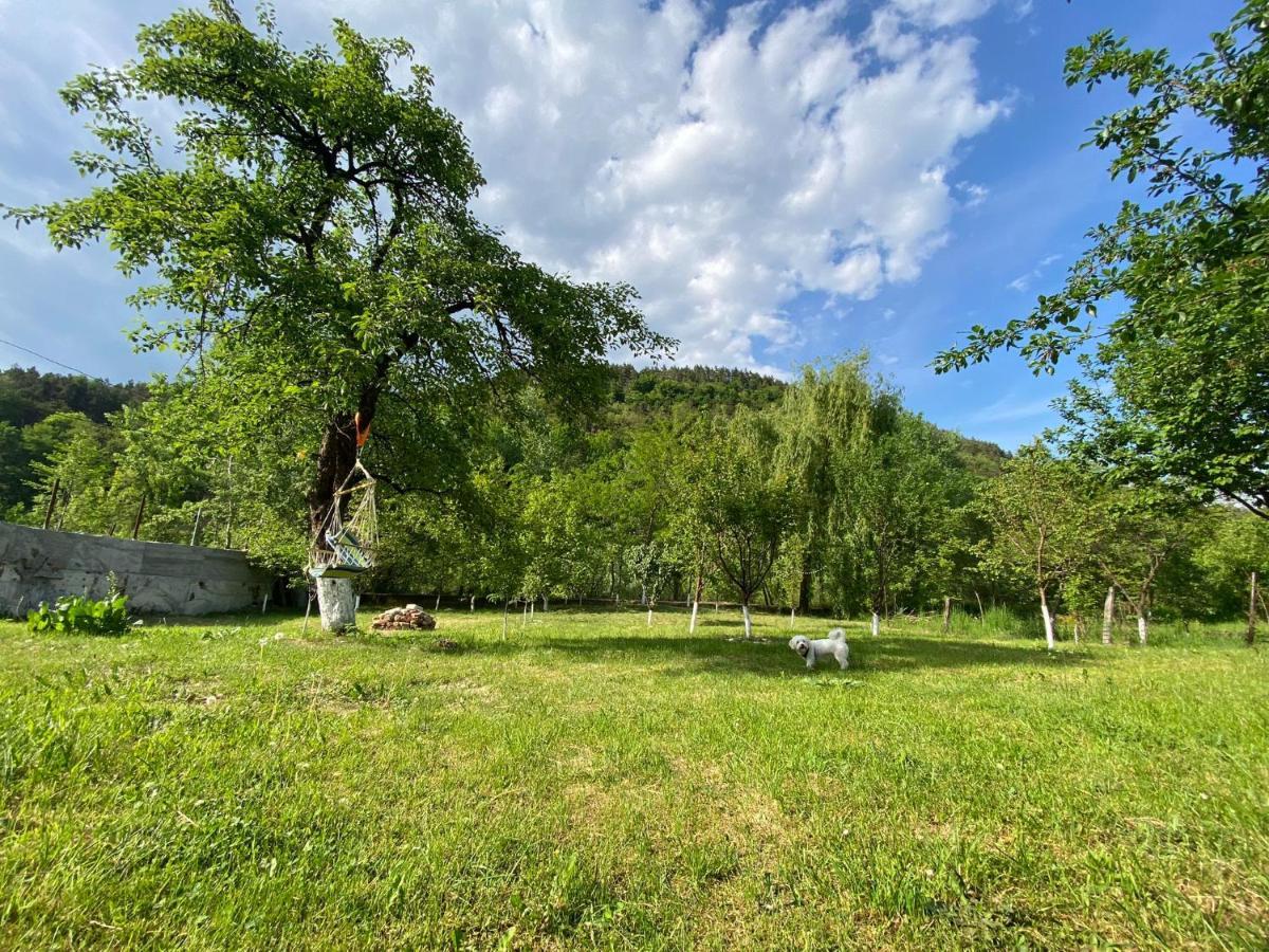Casa Carbunaru Tîrgu Ocna Buitenkant foto