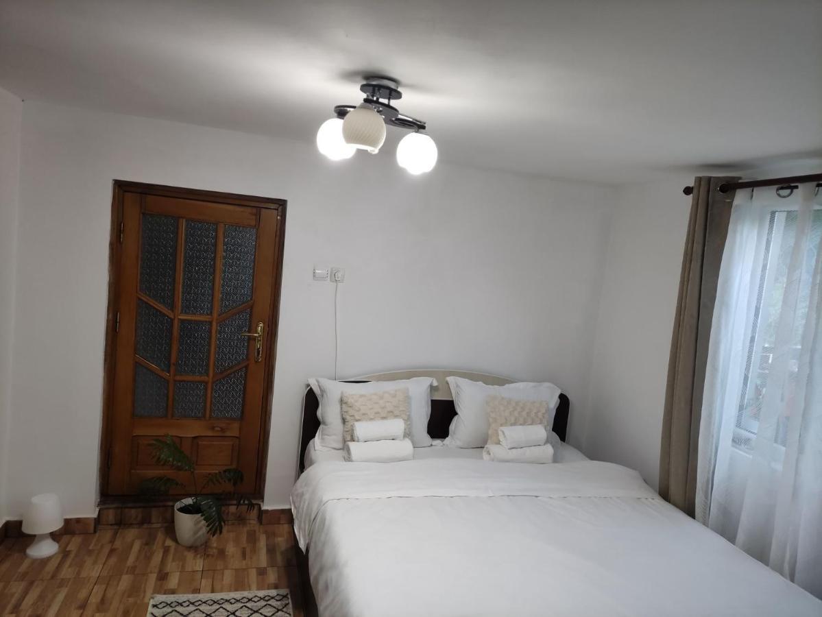 Casa Carbunaru Tîrgu Ocna Buitenkant foto