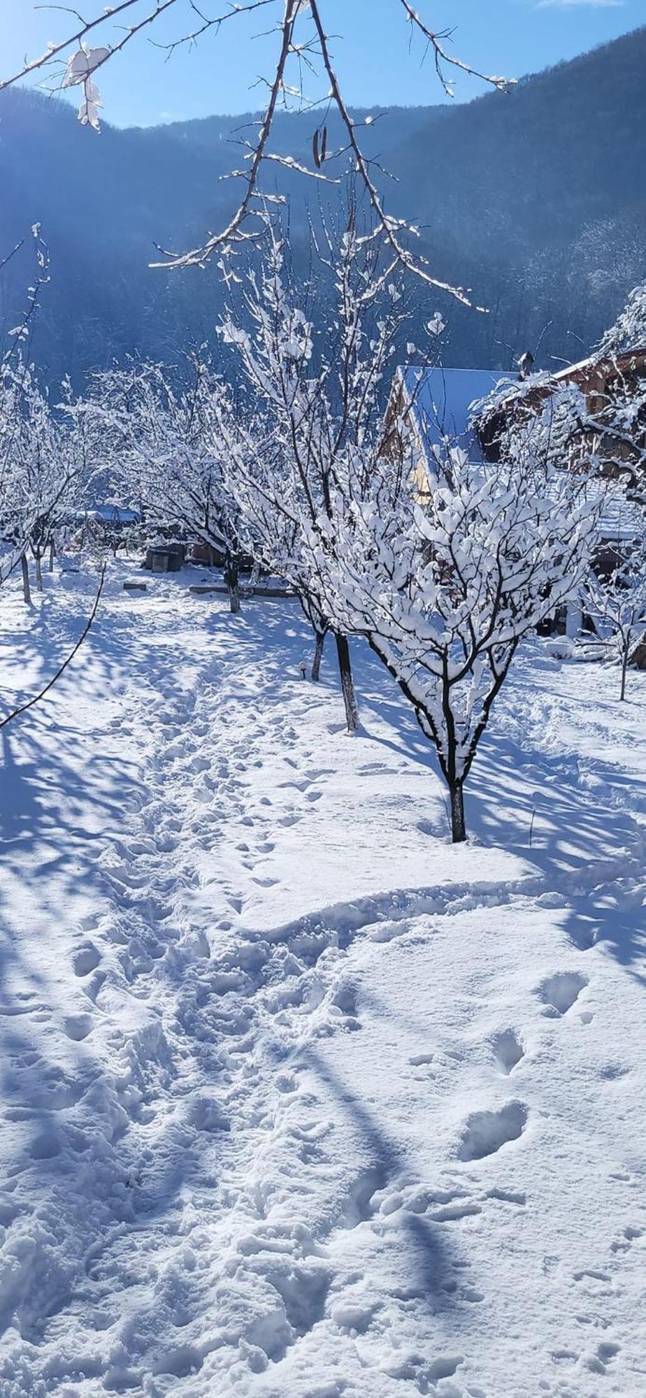 Casa Carbunaru Tîrgu Ocna Buitenkant foto