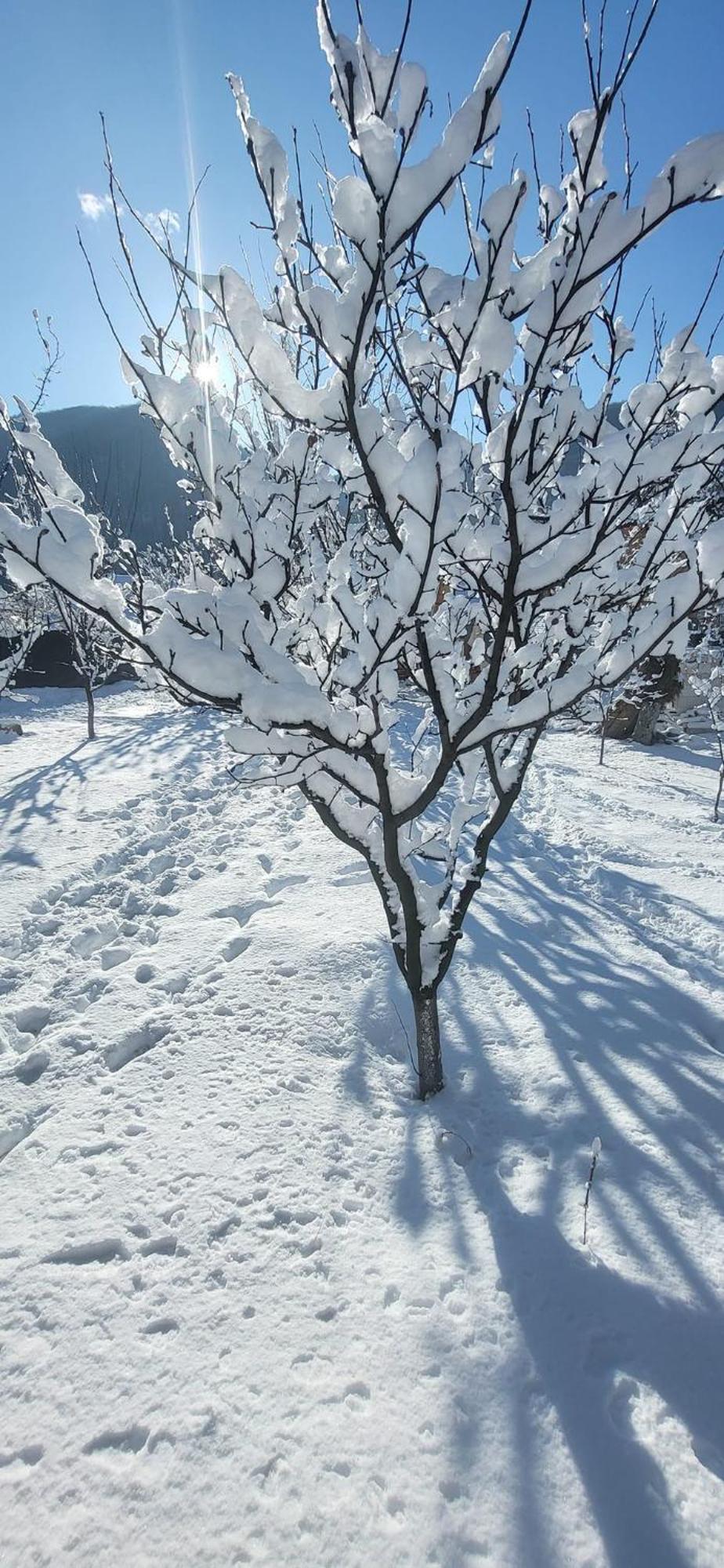 Casa Carbunaru Tîrgu Ocna Buitenkant foto