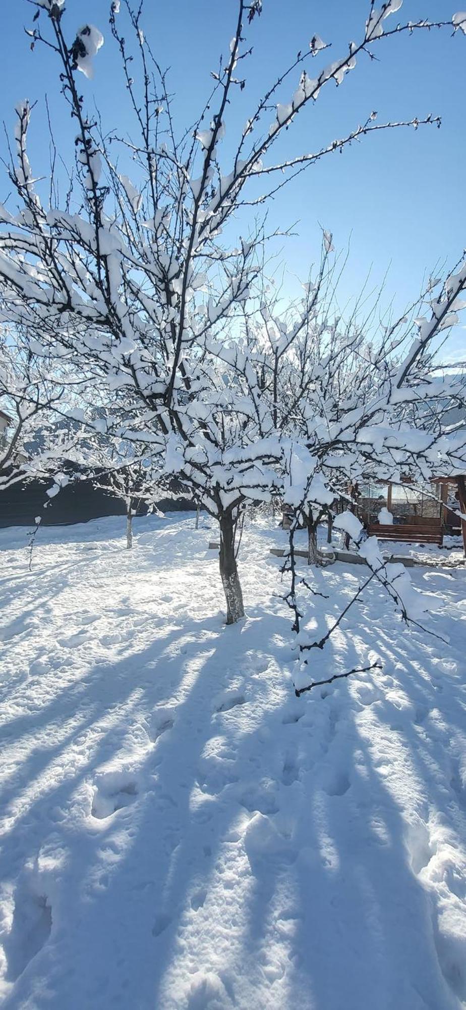 Casa Carbunaru Tîrgu Ocna Buitenkant foto