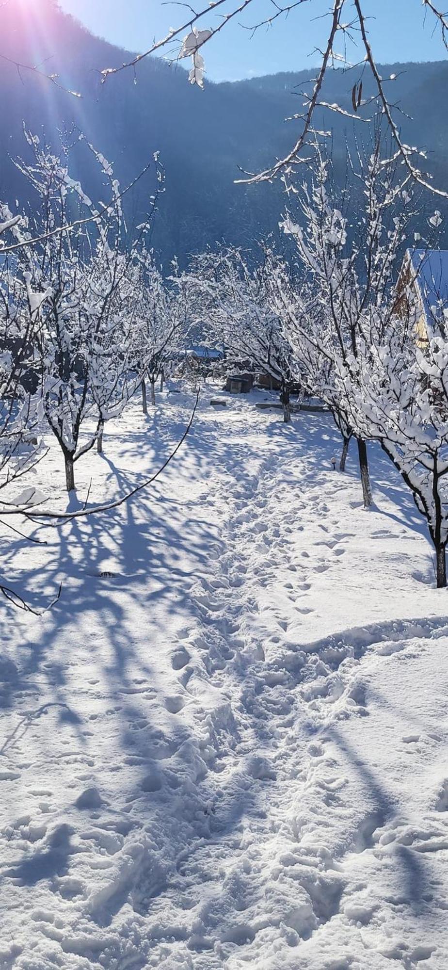 Casa Carbunaru Tîrgu Ocna Buitenkant foto