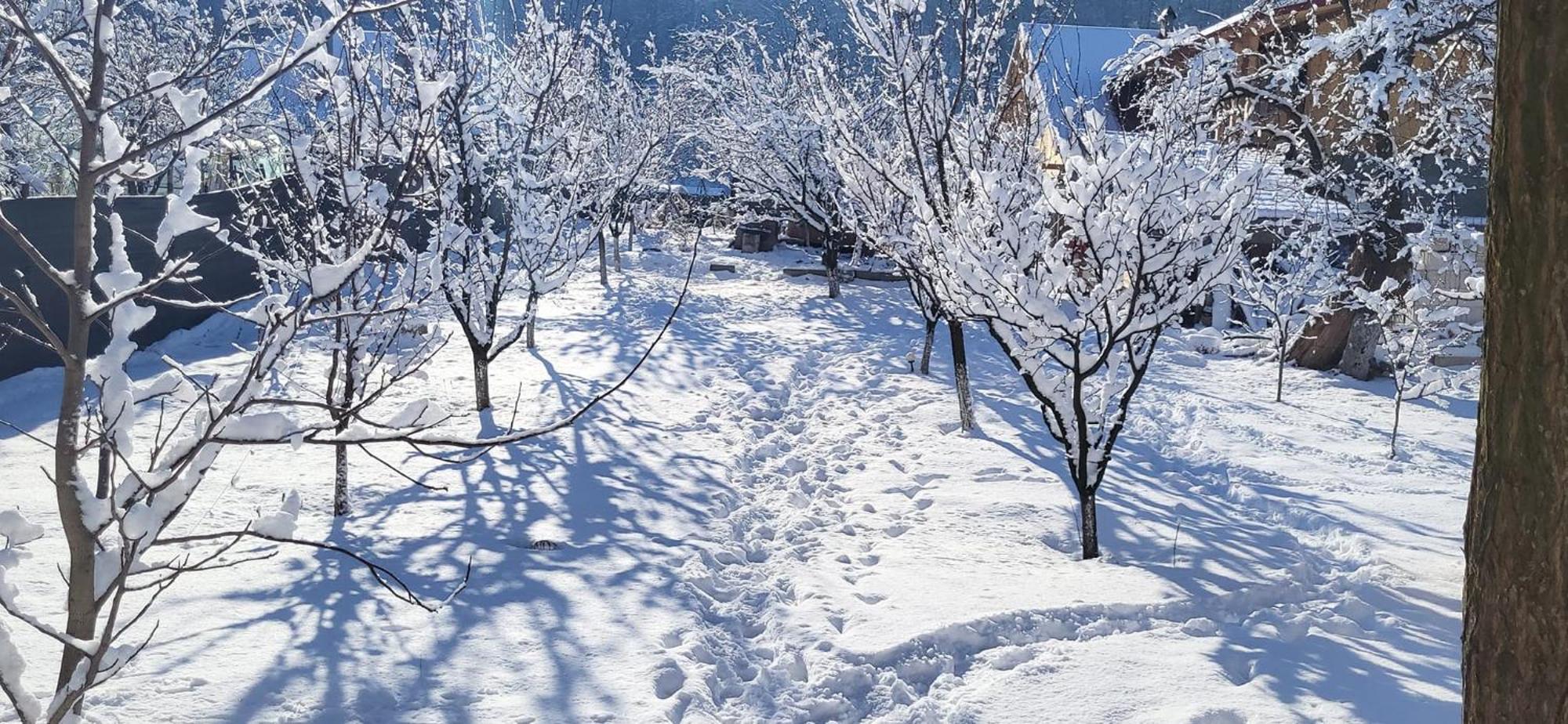 Casa Carbunaru Tîrgu Ocna Buitenkant foto