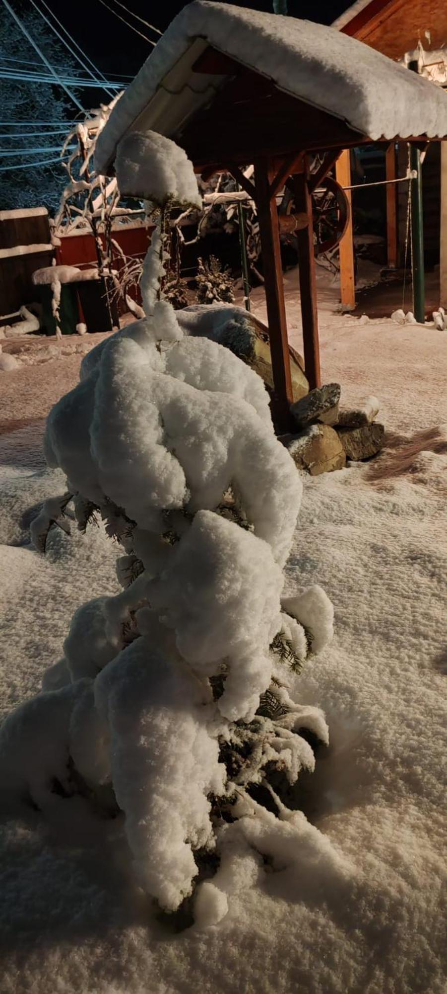 Casa Carbunaru Tîrgu Ocna Buitenkant foto