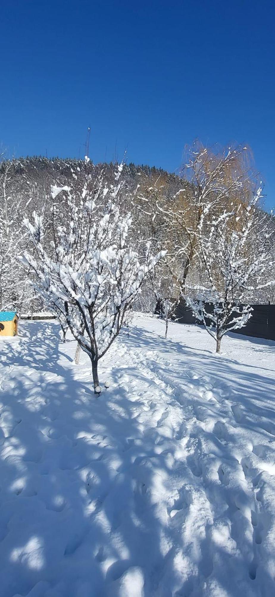 Casa Carbunaru Tîrgu Ocna Buitenkant foto