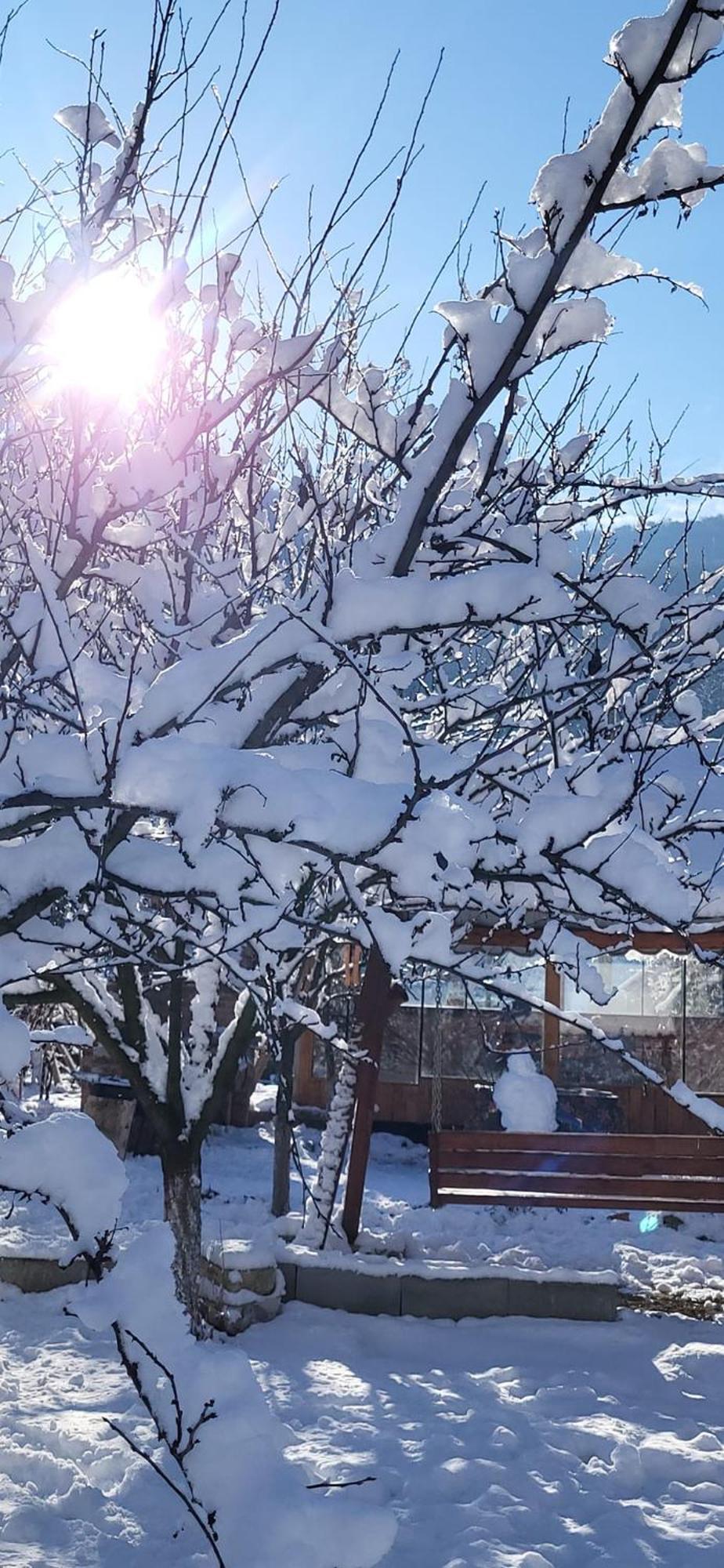 Casa Carbunaru Tîrgu Ocna Buitenkant foto