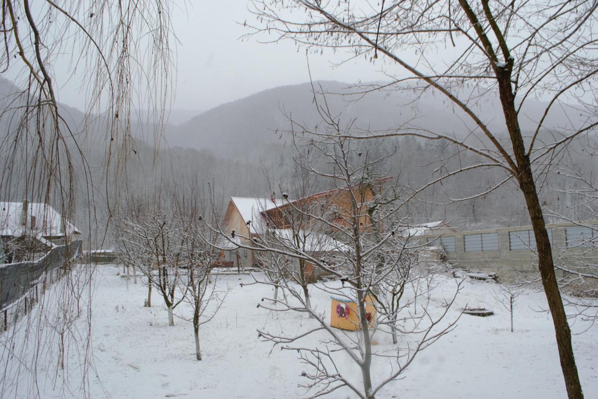 Casa Carbunaru Tîrgu Ocna Buitenkant foto
