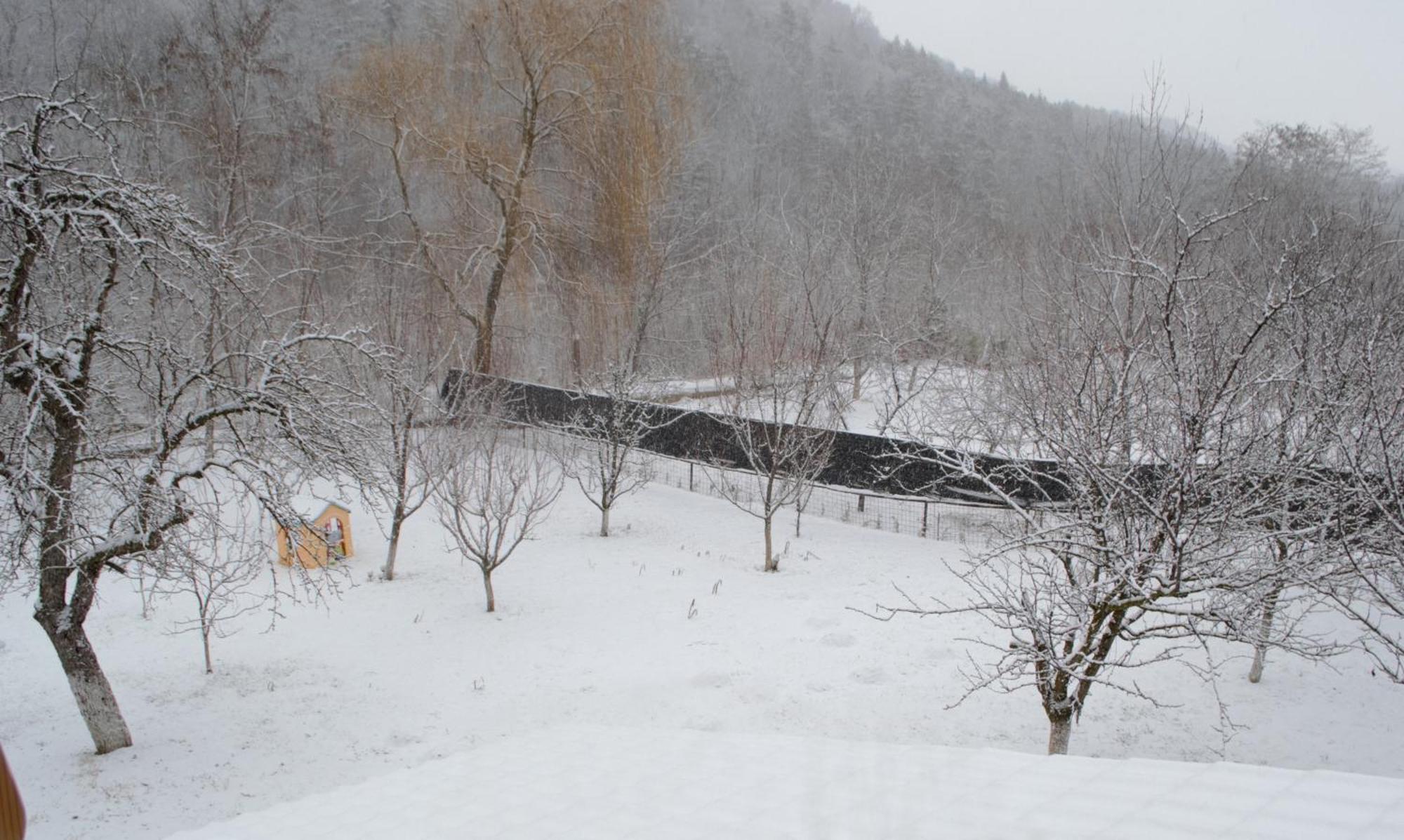 Casa Carbunaru Tîrgu Ocna Buitenkant foto