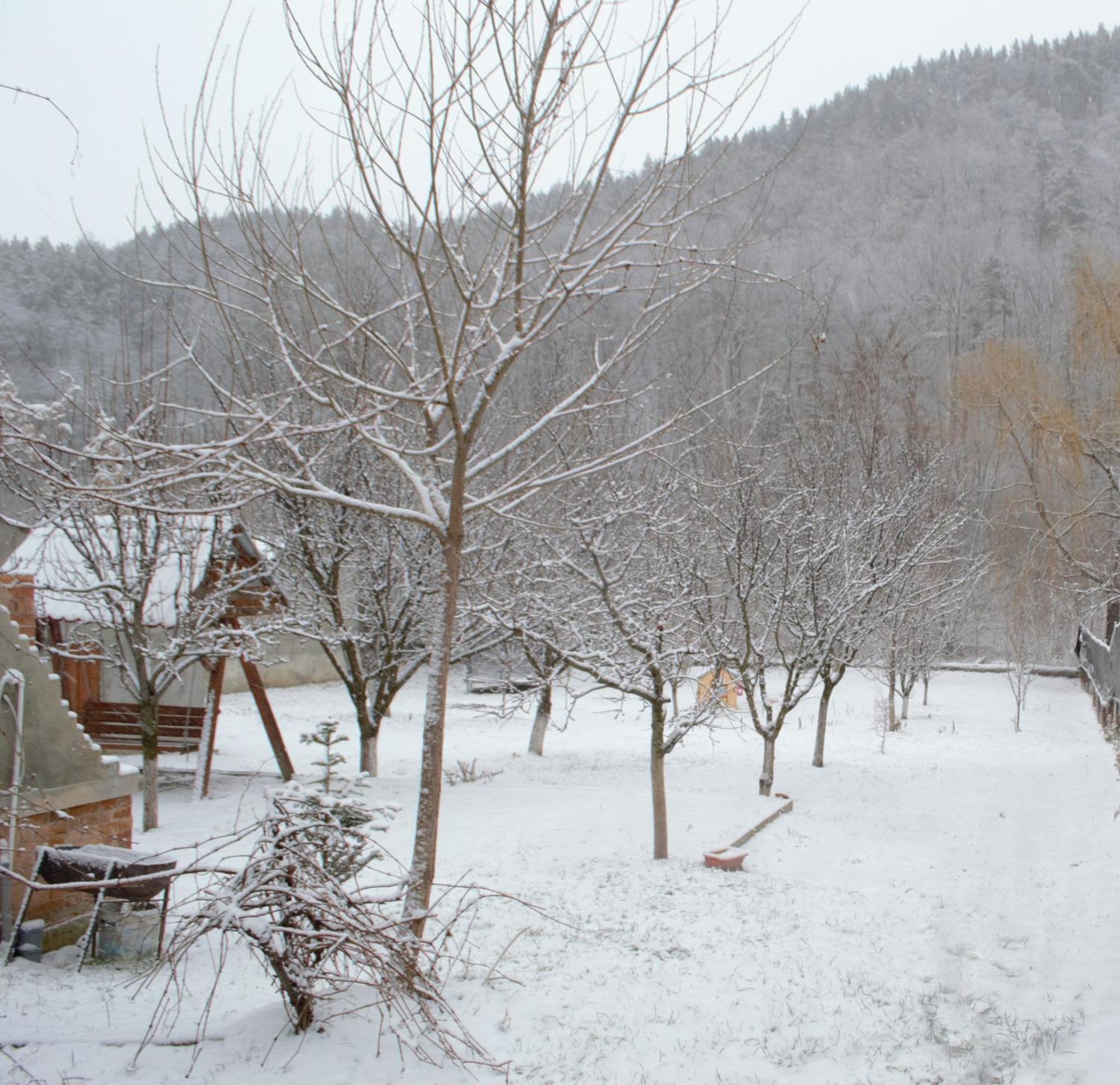 Casa Carbunaru Tîrgu Ocna Buitenkant foto